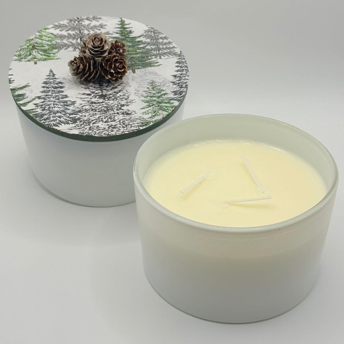 3 wick - 24 oz Holiday candles